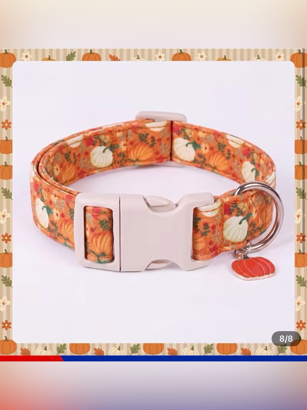 Pumpkin Print Orange Dog Collar with Charm